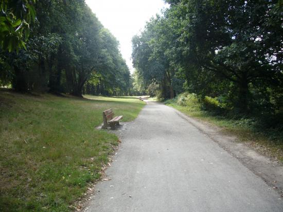 Vers le passeur de l'erdre