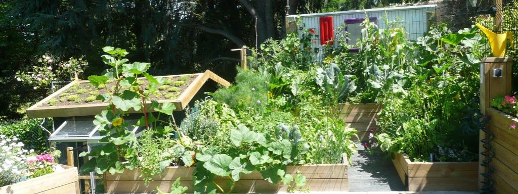 Potager en carres 1